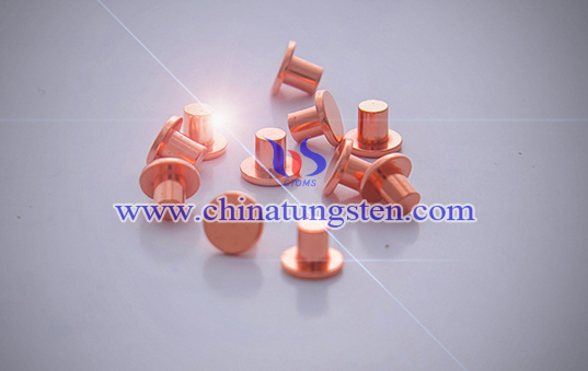 silver tungsten contact Picture